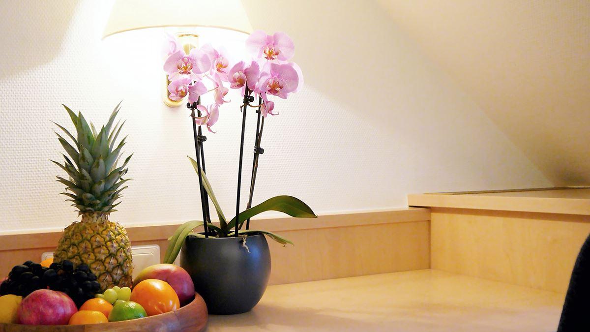 Doppelzimmer Albtrauf Schreibtisch