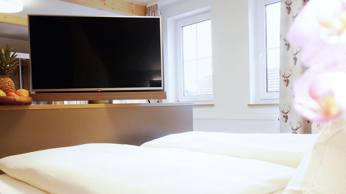 Doppelzimmer NaturPur mit privater Infrarotkabine - Doppelbett und TV