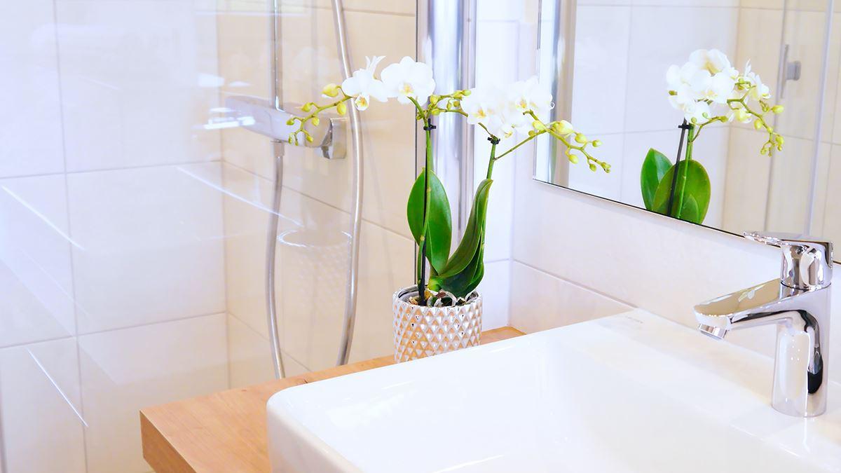 Doppelzimmer NaturPur mit privater Infrarotkabine - Bad