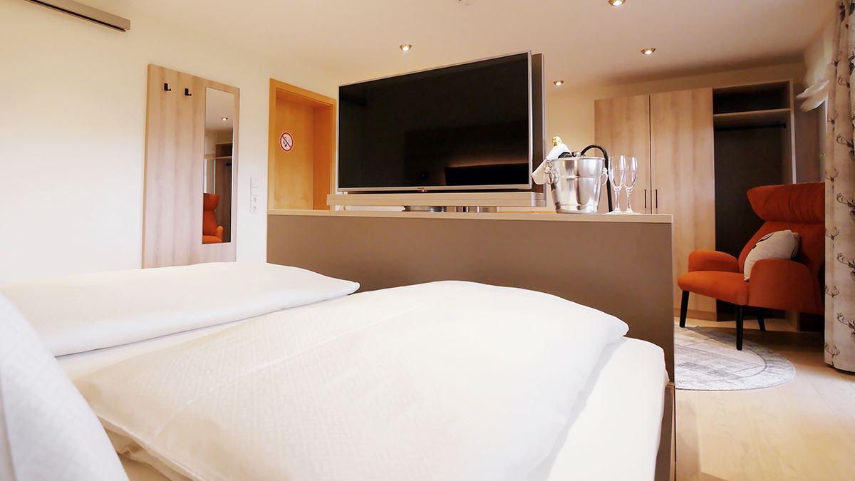 Doppelzimmer NaturPur mit privater Sauna - Doppelbett und TV